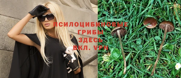 a pvp Касимов
